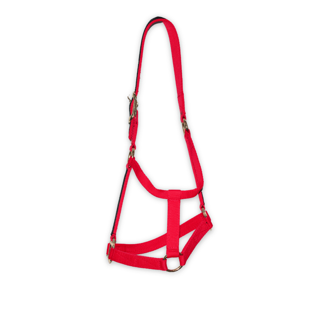 Almartigón rojo de nylon